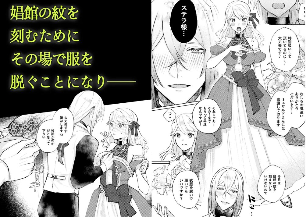 墜下の輝星hitomi,raw,momonga,pdf,wnacg無料エロ漫画は海賊版サイトで読める?