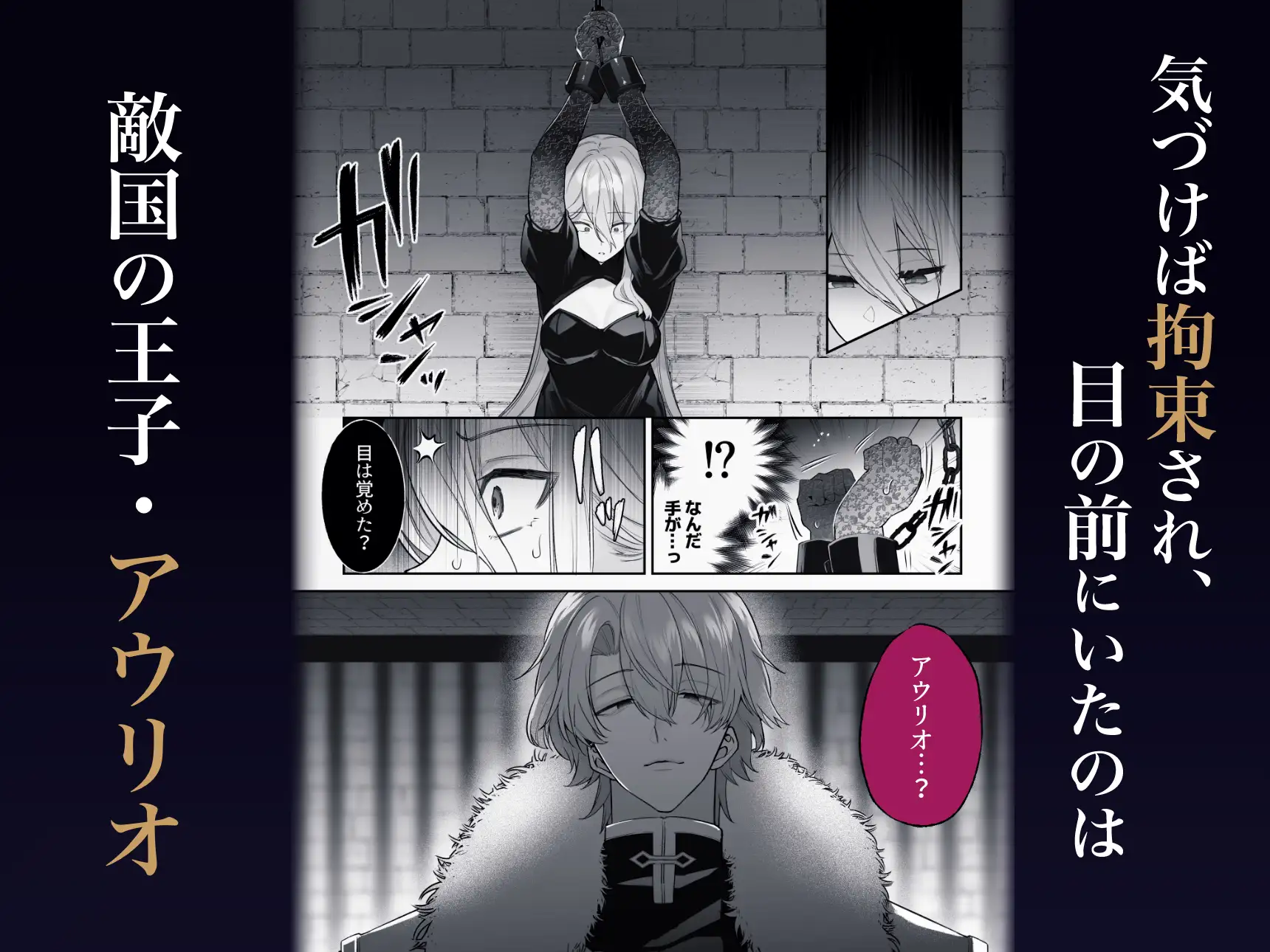 王女殿下は謎の豹変執着王子に孕ませられるhitomi,モモンガ,rawで漫画無料dlして大丈夫？