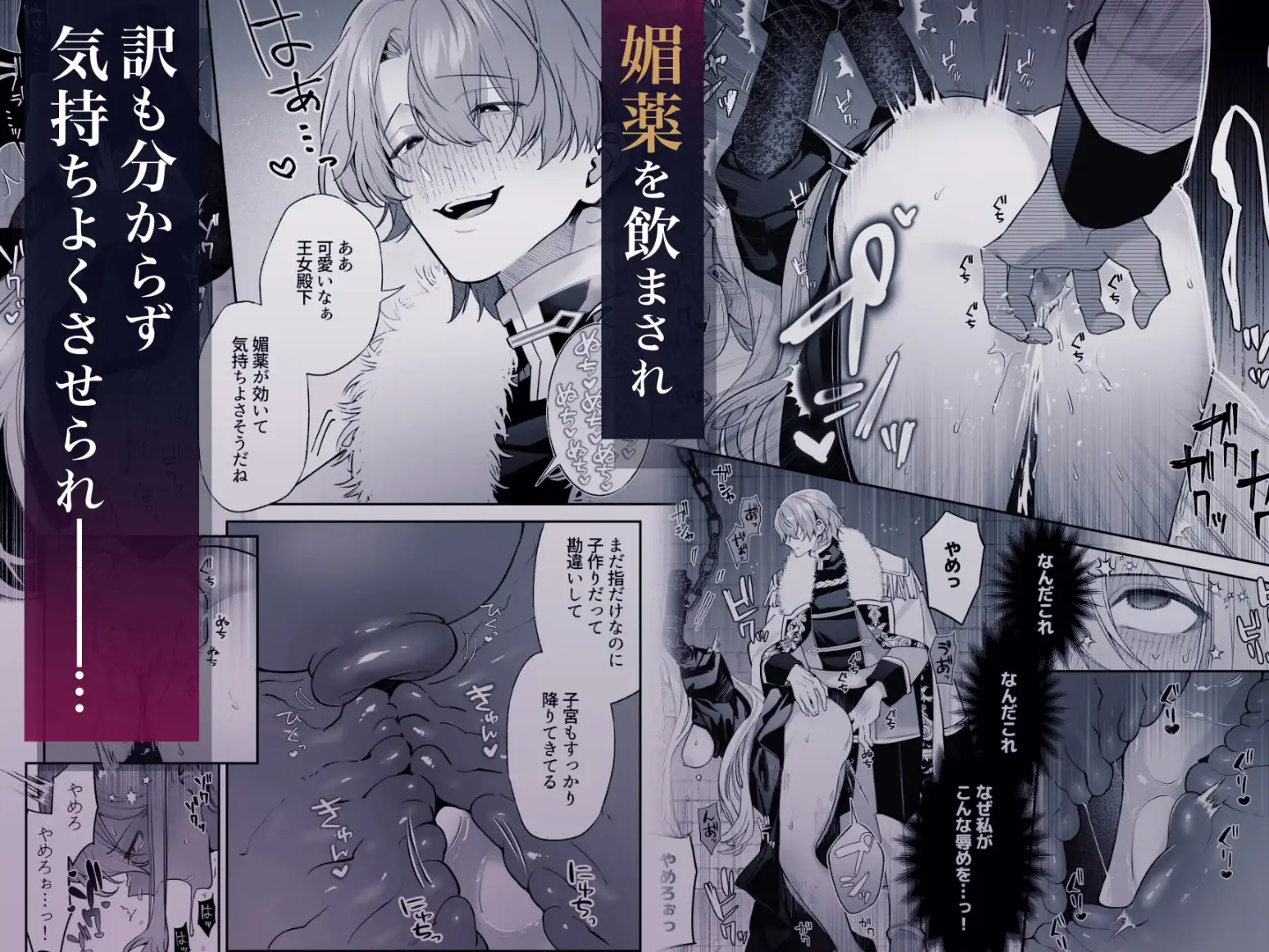 王女殿下は謎の豹変執着王子に孕ませられるhitomi,モモンガ,rawで漫画無料dlして大丈夫？