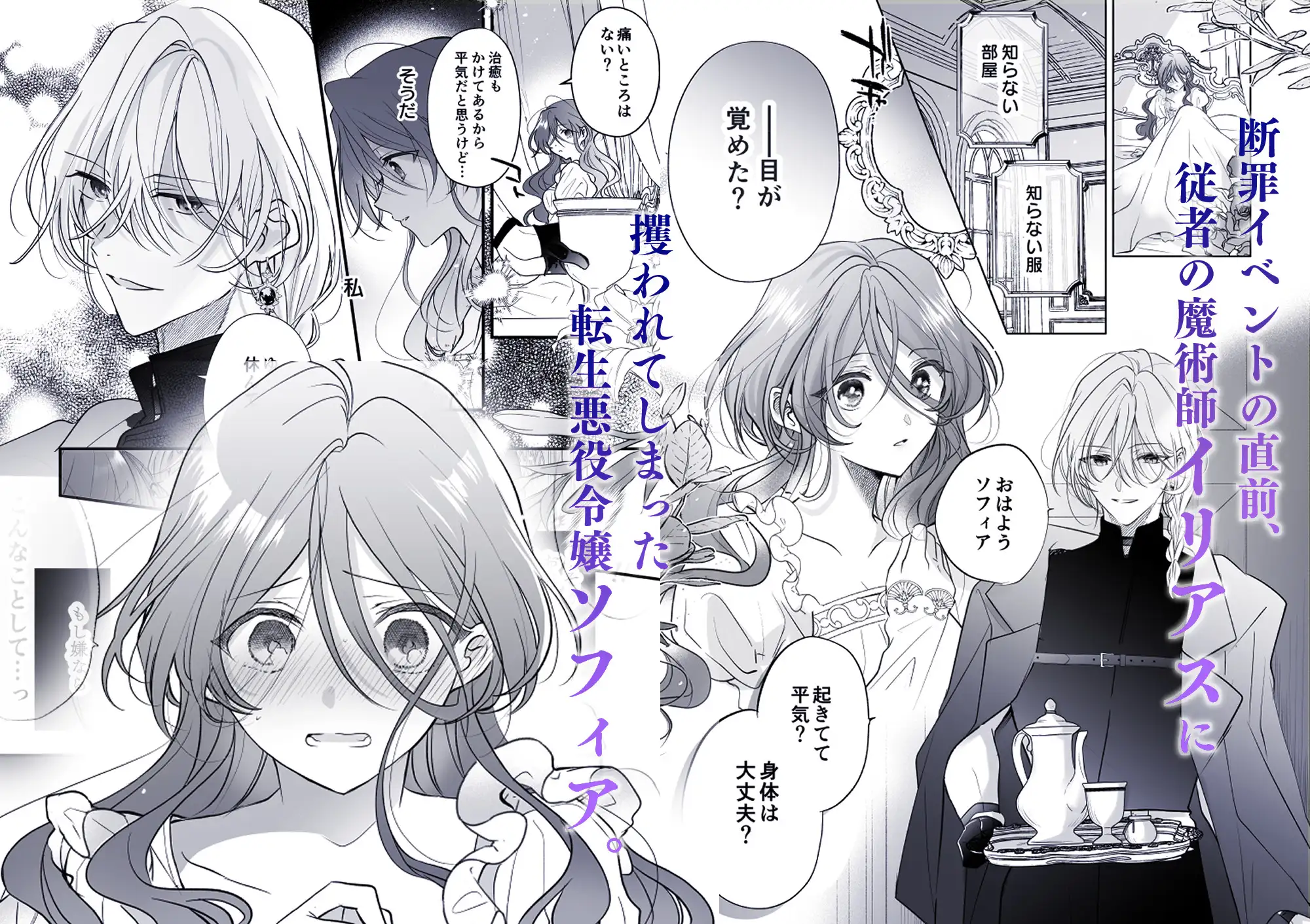 魔術師の偏愛2-trueroute-上 hitomi