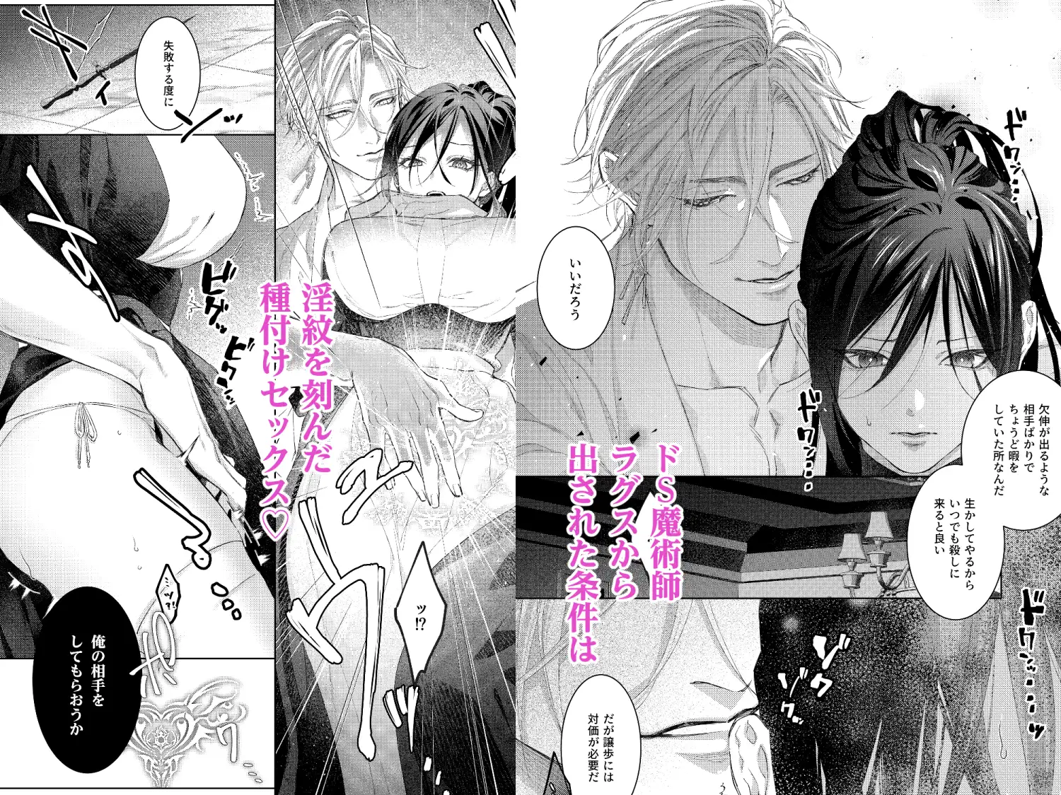 暗殺者は執着魔術師を殺せない ~ドS魔術師の強○中出しで淫紋発情セックス~hitomi,モモンガ,raw無料dlできる?