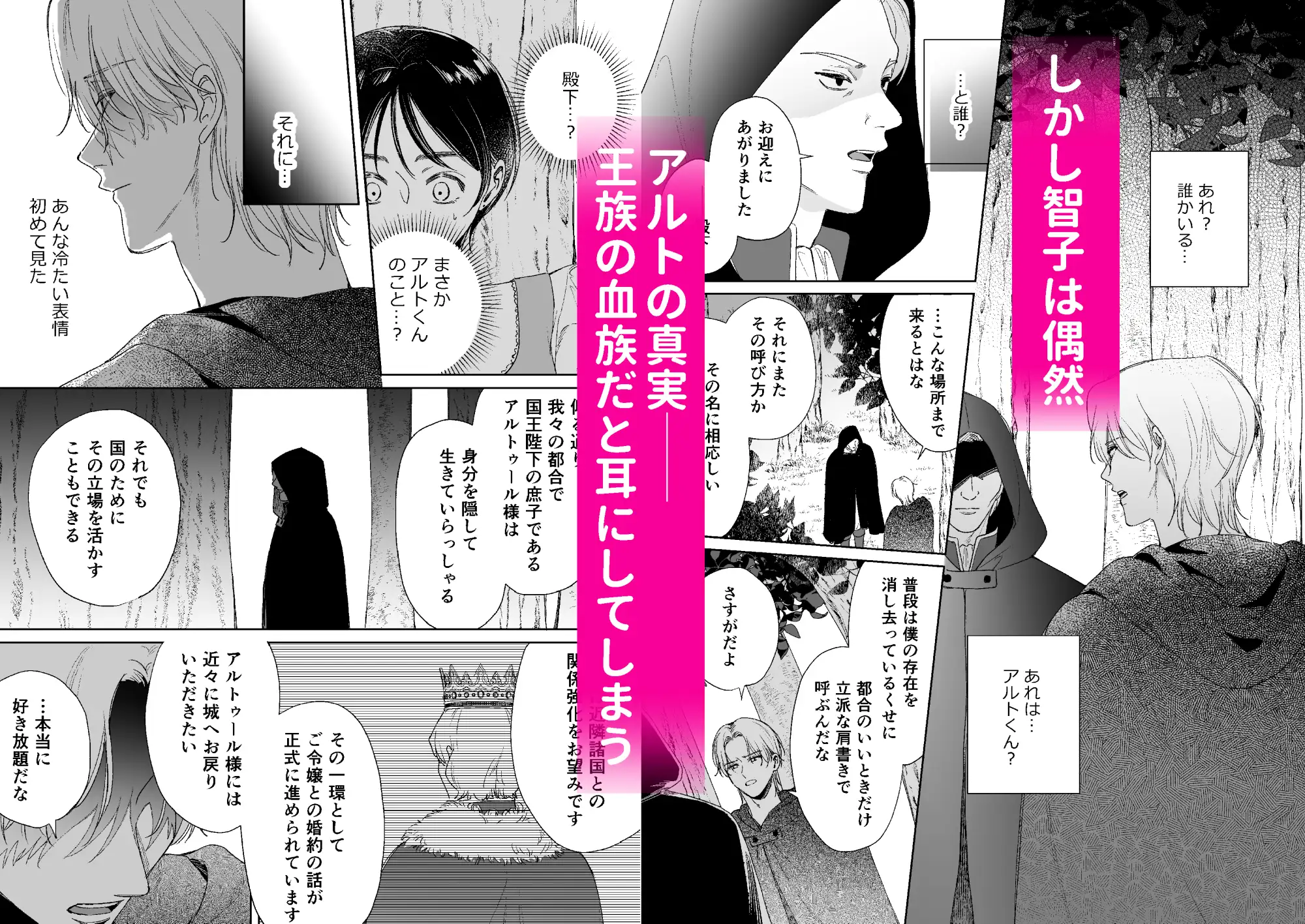 異世界転移したら訳あり王子に永遠を誓われましたhitomi,モモンガ,raw漫画無料dlどこ?